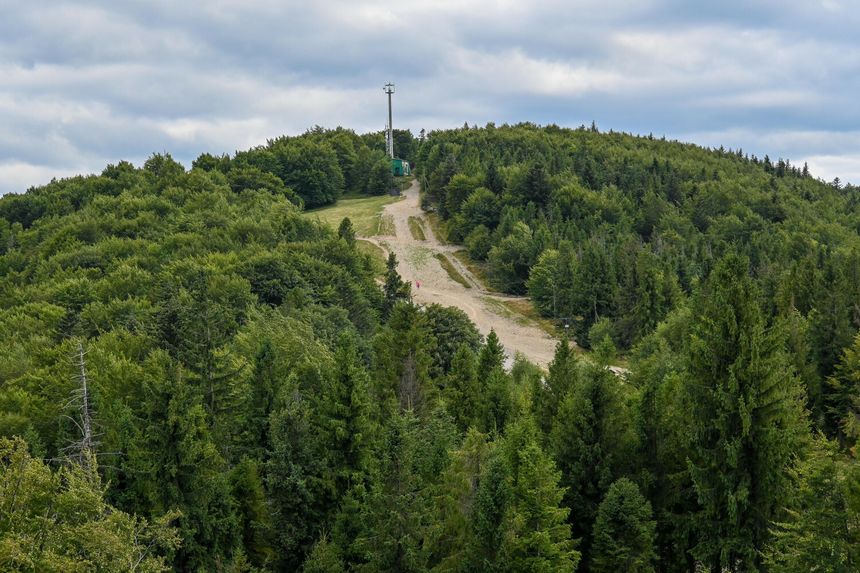 Widok na zieloną górę z wieżą na szczycie, otoczoną gęstym lasem. Szlak wydeptany dokoła.