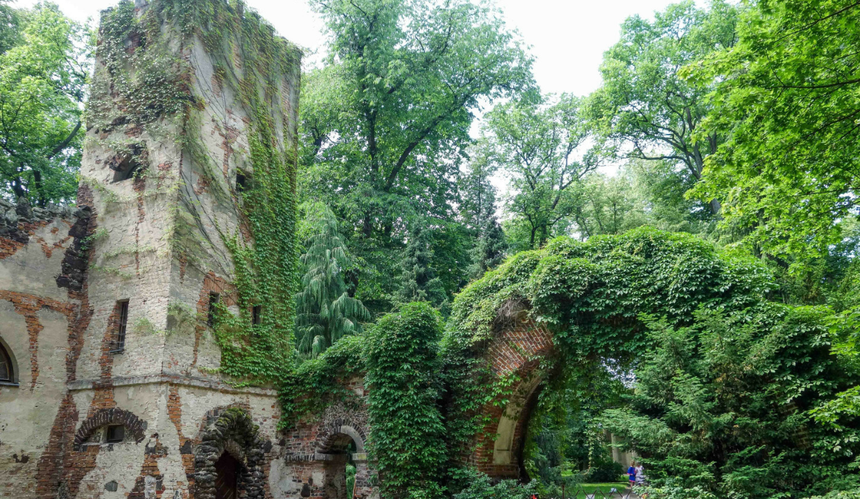 Zarośnięta gotycka wieża z łukiem otoczonym bluszczem