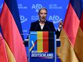 Współprzewodnicząca AfD