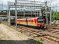 Polregio