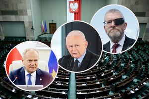 wybory parlamentarne, sondaż