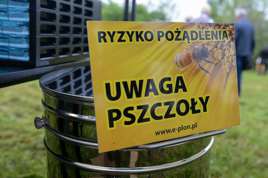 tabliczka przy miejskiej pasiece w Piotrkowie Trybunalskim