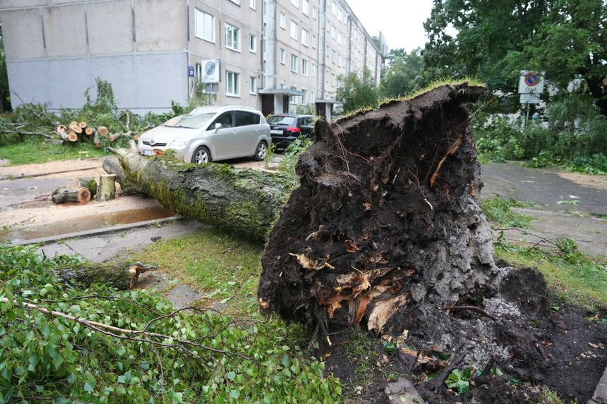 Skutki burz na Litwie i Łotwie