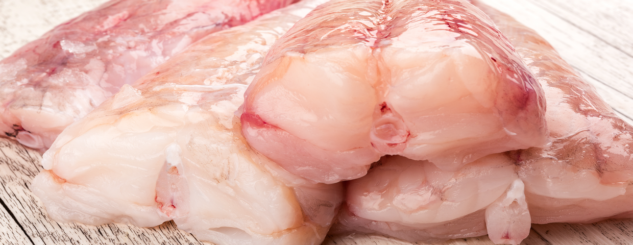 Miętus (Lota lota)