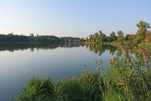 Jezioro Jelonek na Pojezierzu Gnieźnieńskim