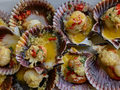 Conchitas a la parmesana w muszlach z przyprawami