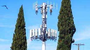 Masz telefonii komórkowej (zdjęcie ilustracyjne)