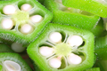 Piżmian jadalny, okra
