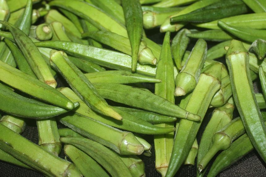 Piżmian jadalny, okra