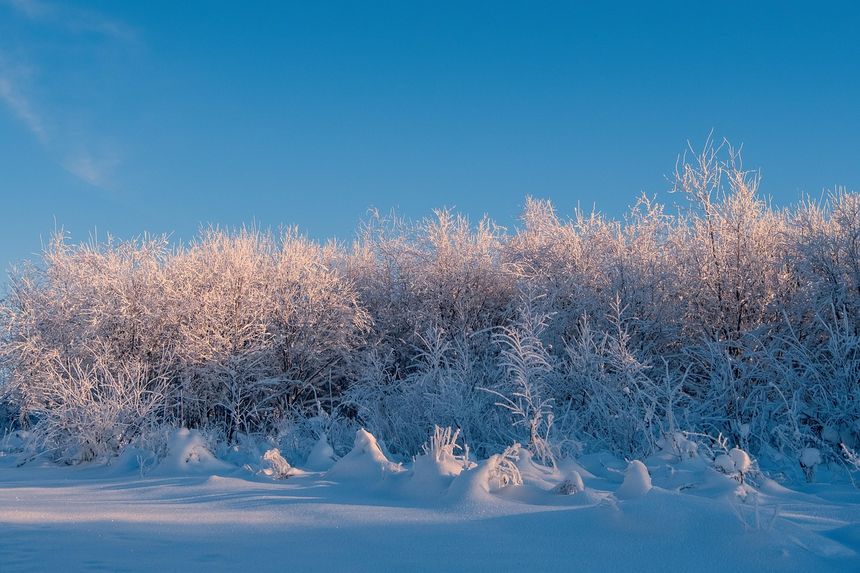 Zima, śnieg, mróz