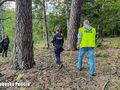 Poszukiwania Witolda Płóciennika