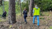 Poszukiwania Witolda Płóciennika