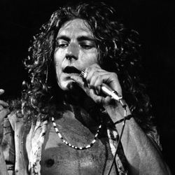 Robert Plant z Led Zeppelin