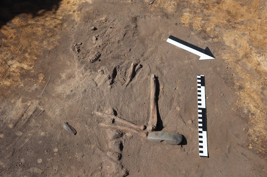 Odkrycie archeologiczne pod Wrocławiem