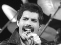Freddie Mercury 