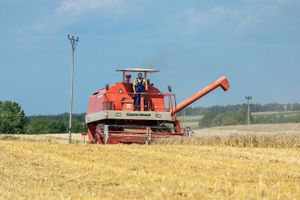 żniwa na polskich polach