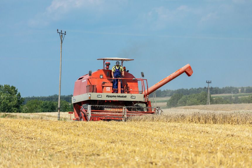 żniwa na polskich polach