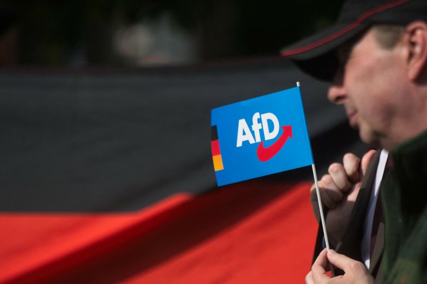 zwolennik AfD
