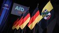 Co przyniesie wygrana AfD?