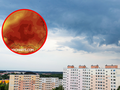 Prognoza