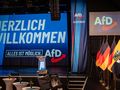 AfD, Niemcy