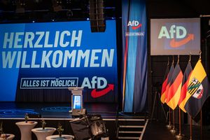 AfD, Niemcy