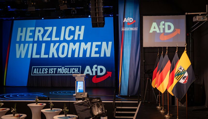 AfD, Niemcy