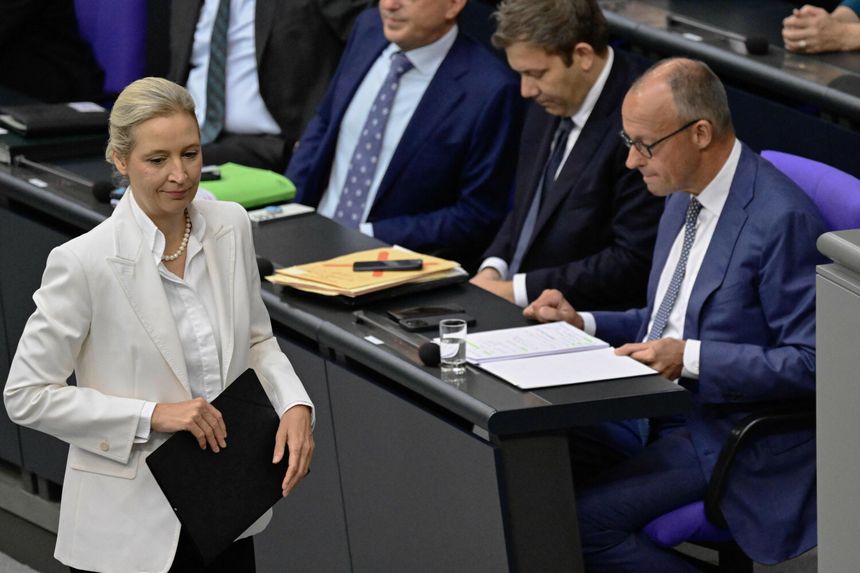 Merz, Weidel
