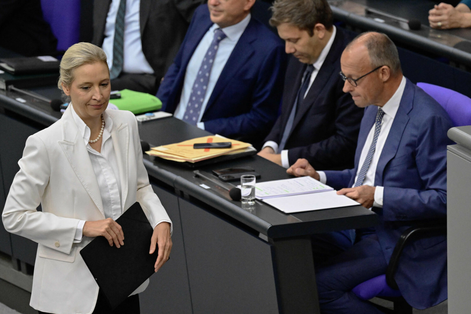 AfD rośnie w siłę, Merz traci poparcie. Niemcy coraz bardziej podzielone