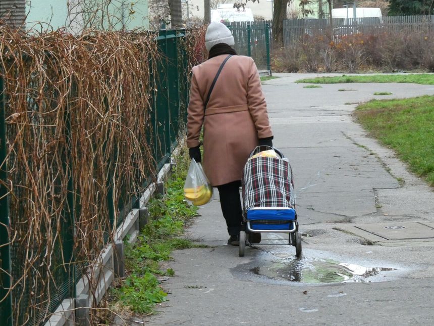 seniorka z zakupami