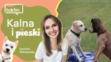 Jak zrozumieć, co mówi pies?
