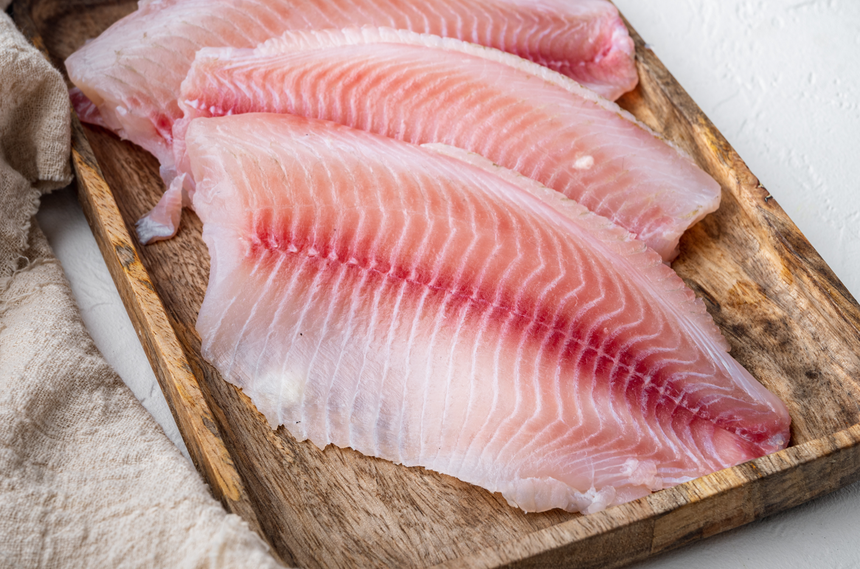 Ryba tilapia
