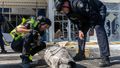Policjanci badają szczątki rosyjskiego drona w Charkowie