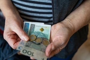 Zdjęcie przedstawia ręce osoby trzymającej banknoty i monety.