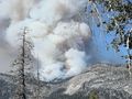Pożar w parku Yosemite