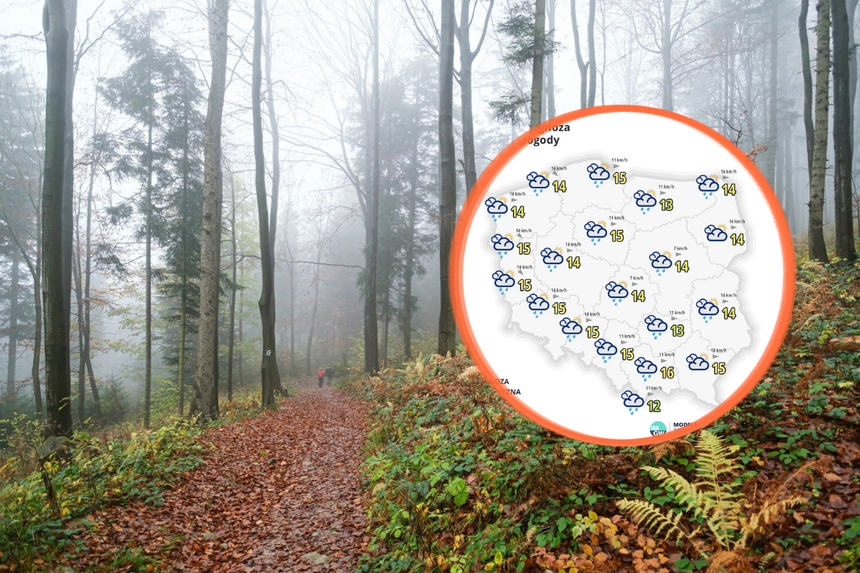 Zamglony las w jesiennych kolorach, w tle mapa prognozy pogody z opadami.