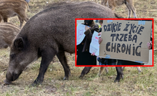 Warszawa. Protest w obronie dzików