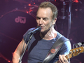 Sting