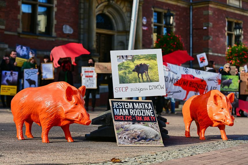 Gdańsk. Protest w obronie dzików