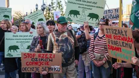 Protest w sprawie dzików w Warszawie