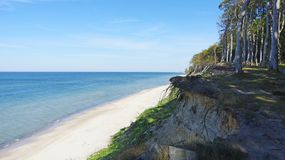 Widok na piaszczystą plażę z klifem i morzem w słoneczny dzień. Zielone drzewa w tle.