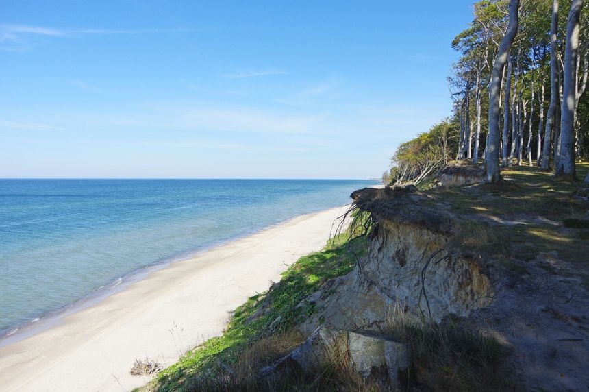 Widok na piaszczystą plażę z klifem i morzem w słoneczny dzień. Zielone drzewa w tle.