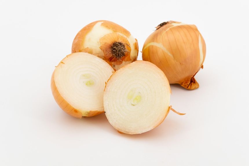 Cebula