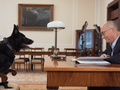 Czarzasty pożegnał psa straży marszałkowskiej