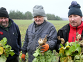 Ile zarabiają uczestnicy „Rolnicy. Podlasie”? Tyle ma im płacić Fokus TV