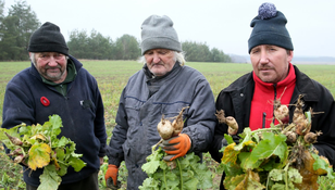 Ile zarabiają uczestnicy „Rolnicy. Podlasie”? Tyle ma im płacić Fokus TV