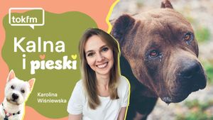 Jak zająć się psem podczas zerwania?