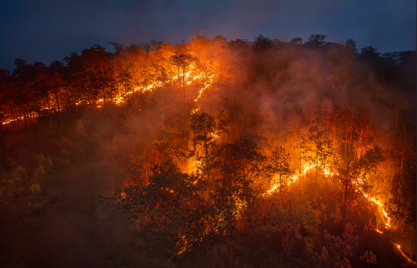 El Nino, susze, upały i pożary
