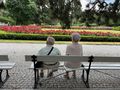seniorzy na ławce w parku