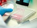 Praca w laboratorium: ręka z niebieską rękawiczką używa pipety do podziału cieczy.